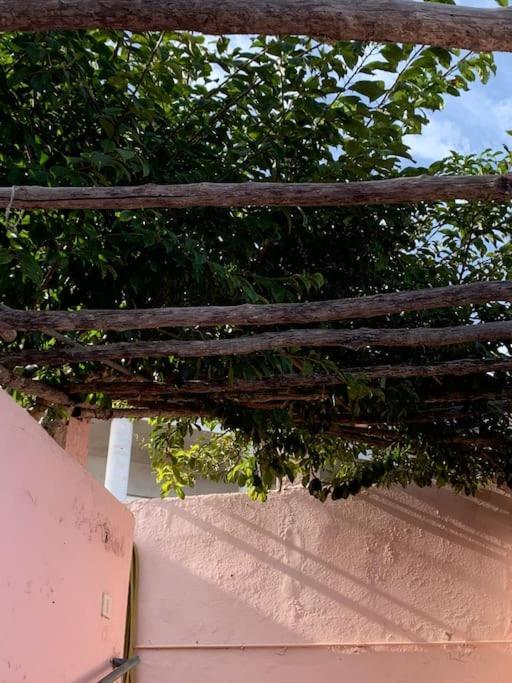 Paz Y Relax En Santa Barbara 110 Villa Икод де лос Винос Екстериор снимка