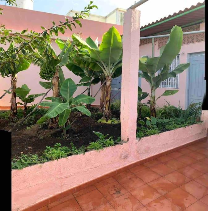 Paz Y Relax En Santa Barbara 110 Villa Икод де лос Винос Екстериор снимка